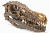 Carved Pietersite Dinosaur Skull - Very Chatoyant #199473-2